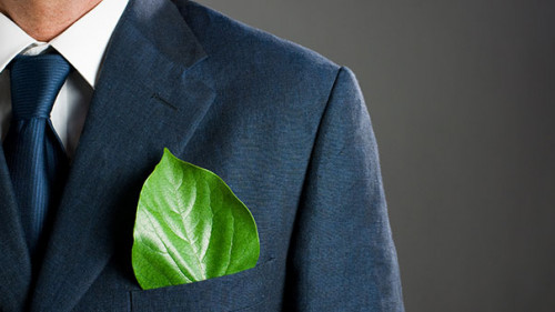 Anzugtraeger-Blatt-15558637-AS-Rido