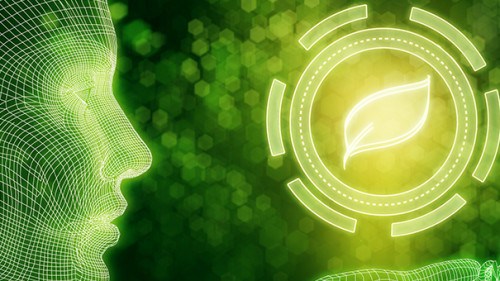 Cyber-Gruen-158202827-AS-peshkova