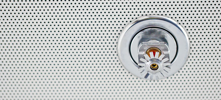 Sprinkleranlage-32314398-AS-MATTHIAS-BUEHNER