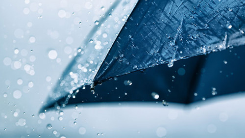 Regenschirm-278703361-AS-juliasudnitskaya