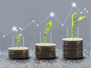 Muenzen-Pflanzen-Graphen-137749077-AS-THANIT