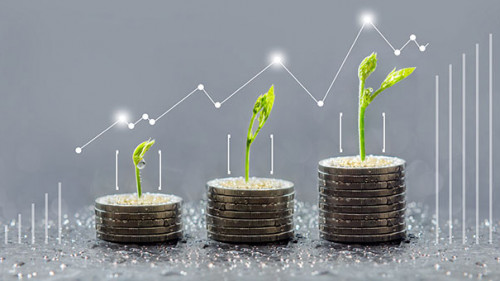 Muenzen-Pflanzen-Graphen-137749077-AS-THANIT