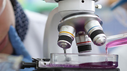 Mikroskop-412869305-AS-H-Ko