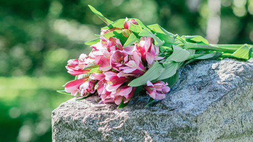 Blumen-auf-Grab-66413822-AS-jefftakespics2