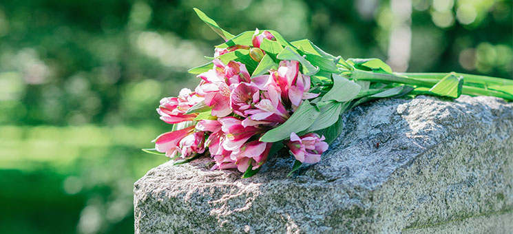 Blumen-auf-Grab-66413822-AS-jefftakespics2