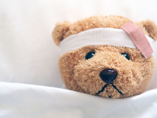 Plueschtier-Pflaster-284997625-AS-F