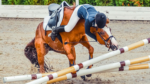 Pferd-Unfall-200150642-AS-taylon