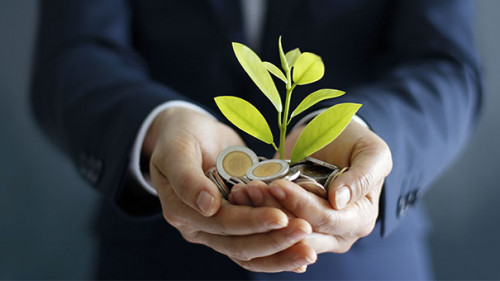 Geld-Pflanze-Hand-195166050-AS-ipopba