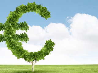 Euro-Pflanze-60045533-AS-Sergey-Nivens