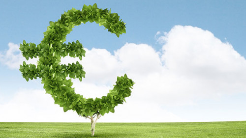 Euro-Pflanze-60045533-AS-Sergey-Nivens