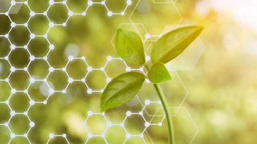 Pflanze-Netzwerk-198069026-AS-BillionPhotos-com