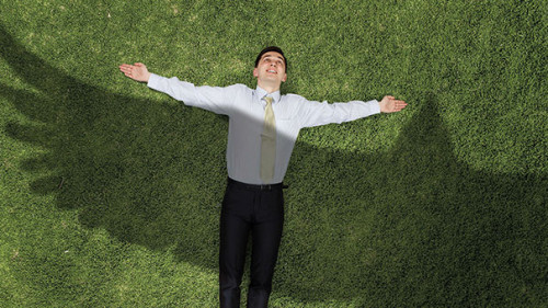 Anzugtraeger-Vogel-Schatten-205719121-AS-Sergey-Nivens