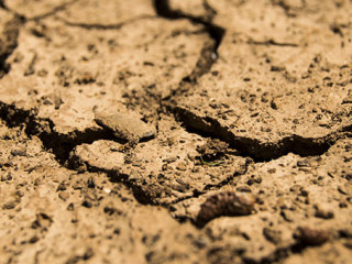 Trockener-Boden-780088-PB-daeron