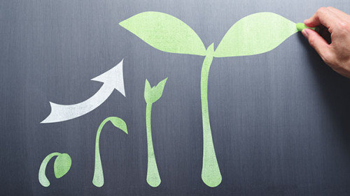 Pflanze-Pfeil-Tafel-279043380-AS-tadamichi