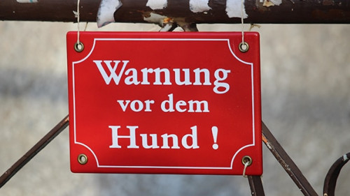 Warnung-vor-dem-Hund-3728584-PB-FlorinBirjoveanu
