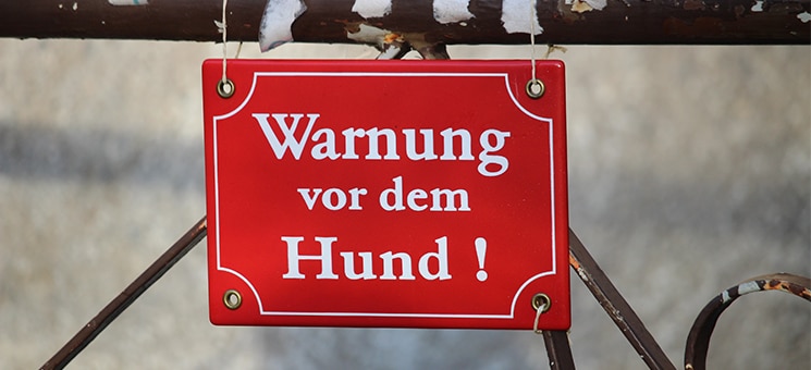 Warnung-vor-dem-Hund-3728584-PB-FlorinBirjoveanu