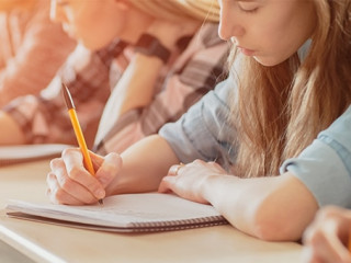 Schueler-206335341-AS-Gorodenkoff