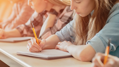 Schueler-206335341-AS-Gorodenkoff