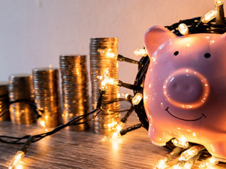 Sparschwein-Lichterkette-291321275-AS-Orathai