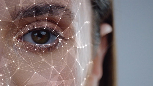 Frau-Polygone-324670657-AS-Fractal-Pictures