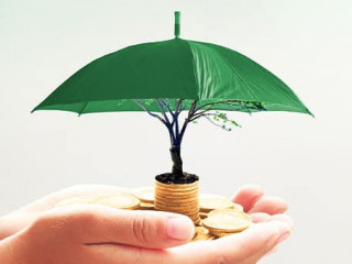 Hand-Schirm-Muenzen-194113007-AS-Choat