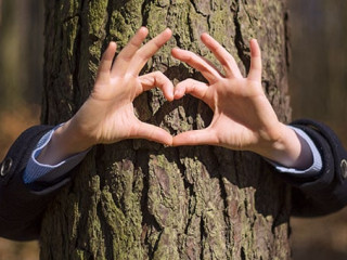 Bum-Anzugtraeger-Herz-134361660-AS-Michal-Ludwiczak