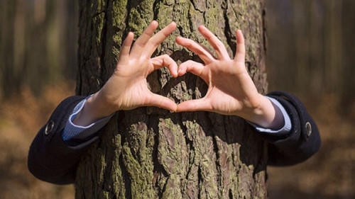 Bum-Anzugtraeger-Herz-134361660-AS-Michal-Ludwiczak