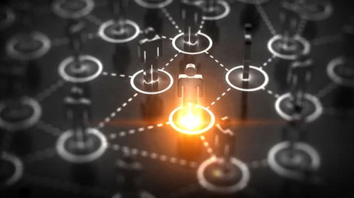 Netzwerk-272907897-AS-Sergey-Nivens