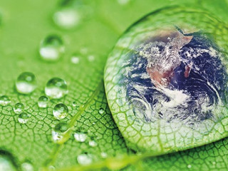 Weltkugel-Tropfen-Blatt-72741948-AS-danimages