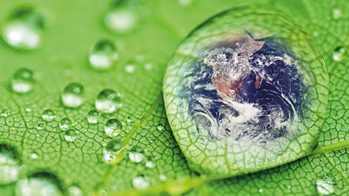 Weltkugel-Tropfen-Blatt-72741948-AS-danimages