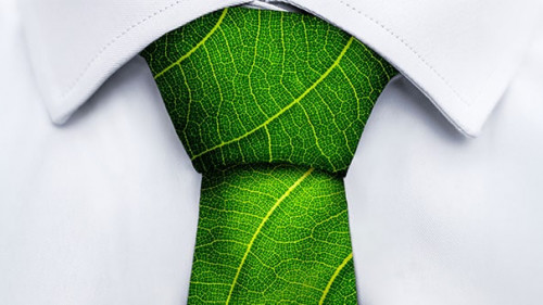 Hemd-gruene-Krawatte-254450746-AS-AB-Visual-Arts