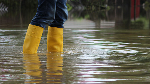 Hochwasser-Gummistiefel-100734575-AS-Rico-Loeb