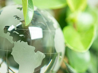 Weltkugel-Blaetter-327789633-AS-vegefox-com