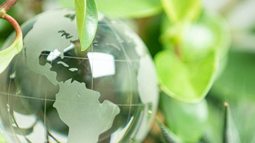 Weltkugel-Blaetter-327789633-AS-vegefox-com