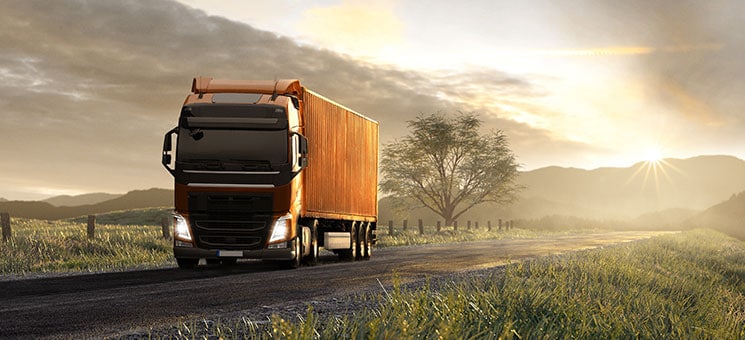 Lkw-206592569-AS-lassedesignen
