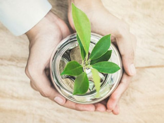 Haende-Einmachglas-Pflanze-Muenzen-160771123-AS-Atstock-Productions