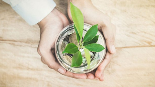 Haende-Einmachglas-Pflanze-Muenzen-160771123-AS-Atstock-Productions