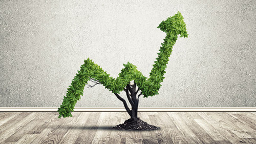 Hecken-Pfeil-141200240-AS-adam121