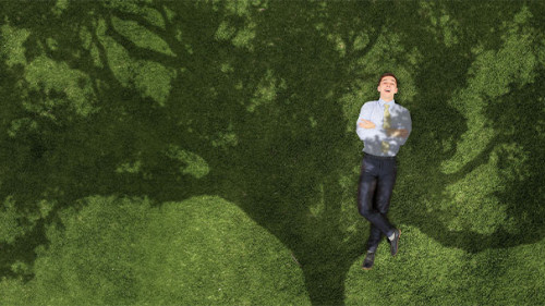 Anzugtraeger-Baum-Schatten-220622541-AS-Sergey-Nivens