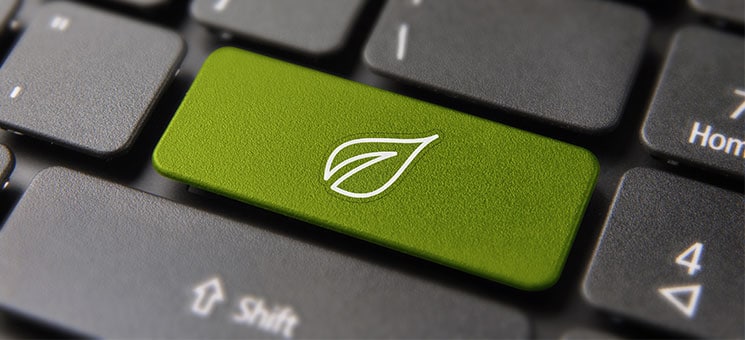 Tastatur-Blatt-202375249-AS-cienpies