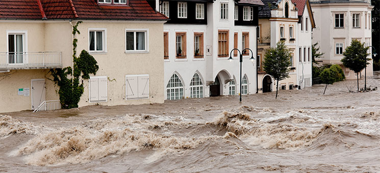Hochwasser-19846729-AS-Gina-Sanders