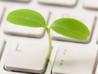 Pflanze-Tastatur-184387515-AS-weerapat1003