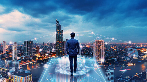 Anzugtraeger-Netzwerk-308186809-AS-Peera