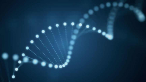 dna-science-204527067-AS-flashmovie