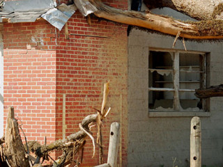 Sturmschaden-Baum-32928559-AS-DavidMcShane