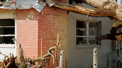 Sturmschaden-Baum-32928559-AS-DavidMcShane