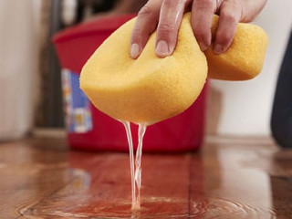 Schwamm-Wasser-181815565-AS-MonkeyBusiness