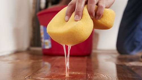 Schwamm-Wasser-181815565-AS-MonkeyBusiness