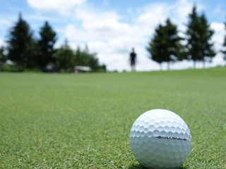 Golfball-Wiese-2217600-PB-moneyfool