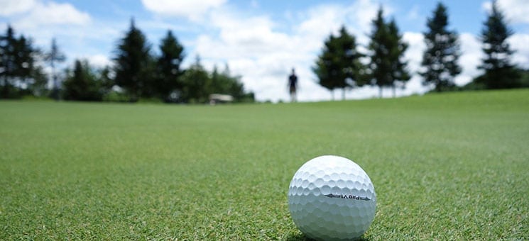 Golfball-Wiese-2217600-PB-moneyfool